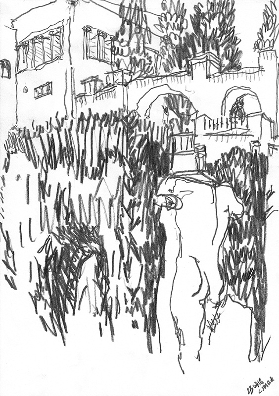 el carmen #9